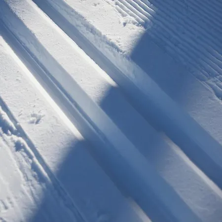 度假居 Horn 达沃斯
