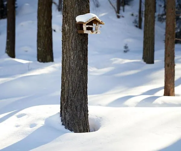 Horn Casa de Férias