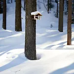 Chalet Horn Trailside Retreat بيت للعطل